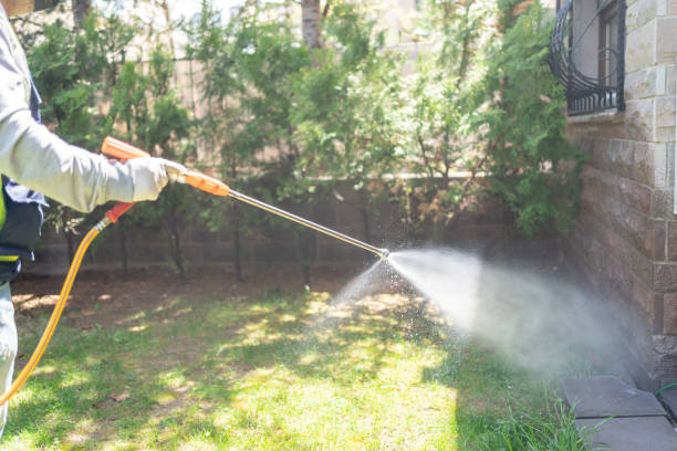 Wasp Removal Services in Lititz, PA