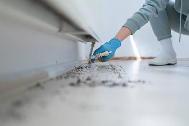 Best Flea Control Services  in Lititz, PA